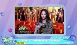 小鹿姐姐爆料视频大全集,揭秘娱乐圈幕后故事