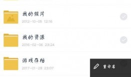 新春园林爆料视频下载百度网盘,跟随视频一探百度网盘下载奥秘