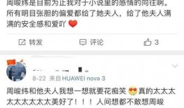 有一本爆料娱乐圈的小说,揭秘明星背后的真实故事